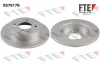 Bremsscheibe Hinterachse FTE 9082268
