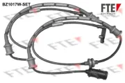 Warnkontakt, Bremsbelagverschleiß FTE BZ1017W-SET