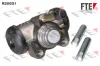 Radbremszylinder Vorderachse FTE 9710066