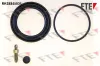 Reparatursatz, Bremssattel Vorderachse FTE 9323802