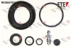 Reparatursatz, Bremssattel Hinterachse FTE 9323826