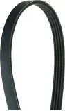 Keilrippenriemen HERTH+BUSS JAKOPARTS J1040740
