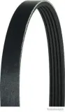 Keilrippenriemen HERTH+BUSS JAKOPARTS J1050825