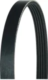 Keilrippenriemen HERTH+BUSS JAKOPARTS J1051356