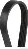 Keilrippenriemen HERTH+BUSS JAKOPARTS J1051425