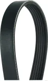 Keilrippenriemen HERTH+BUSS JAKOPARTS J1060675