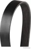 Keilrippenriemen HERTH+BUSS JAKOPARTS J1061033