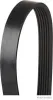 Keilrippenriemen HERTH+BUSS JAKOPARTS J1061548