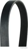 Keilrippenriemen HERTH+BUSS JAKOPARTS J1061795