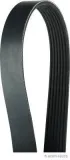 Keilrippenriemen HERTH+BUSS JAKOPARTS J1070810