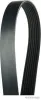 Keilrippenriemen HERTH+BUSS JAKOPARTS J1071740