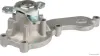 Wasserpumpe, Motorkühlung HERTH+BUSS JAKOPARTS J1514057