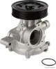 Wasserpumpe, Motorkühlung HERTH+BUSS JAKOPARTS J1518031