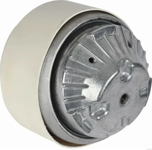 Lagerung, Motor Vorderachse beidseitig HERTH+BUSS JAKOPARTS J1790819 Bild Lagerung, Motor Vorderachse beidseitig HERTH+BUSS JAKOPARTS J1790819