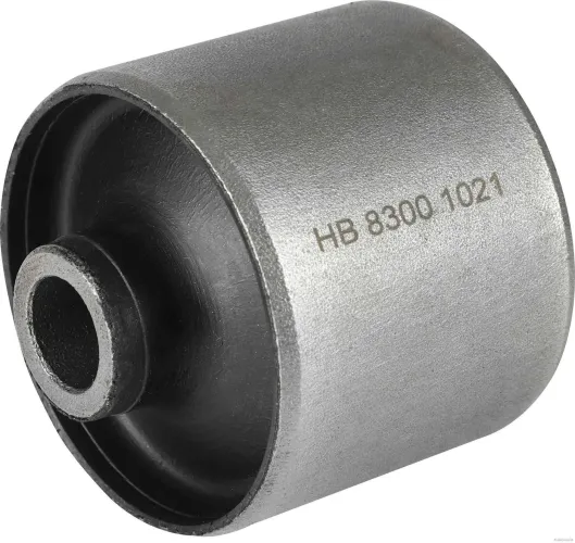 Lagerung, Lenker Vorderachse beidseitig unten HERTH+BUSS JAKOPARTS J4208300 Bild Lagerung, Lenker Vorderachse beidseitig unten HERTH+BUSS JAKOPARTS J4208300