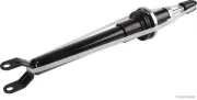 Stoßdämpfer Vorderachse links Vorderachse rechts HERTH+BUSS JAKOPARTS J4300804