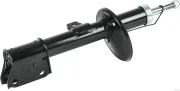 Stoßdämpfer Vorderachse beidseitig HERTH+BUSS JAKOPARTS J43008122