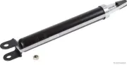 Stoßdämpfer Hinterachse links Hinterachse rechts HERTH+BUSS JAKOPARTS J4320505