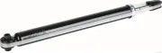 Stoßdämpfer Hinterachse beidseitig HERTH+BUSS JAKOPARTS J43208133