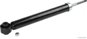 Stoßdämpfer Hinterachse links Hinterachse rechts HERTH+BUSS JAKOPARTS J4320903