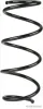 Fahrwerksfeder Vorderachse beidseitig HERTH+BUSS JAKOPARTS J4401010