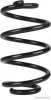 Fahrwerksfeder Hinterachse links Hinterachse rechts HERTH+BUSS JAKOPARTS J4411009
