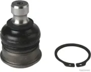 Trag-/Führungsgelenk links rechts unten HERTH+BUSS JAKOPARTS J4861047