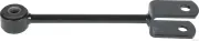 Stange/Strebe, Stabilisator Hinterachse beidseitig HERTH+BUSS JAKOPARTS J4890812