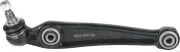 Lenker, Radaufhängung Vorderachse links unten hinten HERTH+BUSS JAKOPARTS J4900841