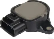 Sensor, Drosselklappenstellung HERTH+BUSS JAKOPARTS J5646001
