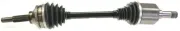 Antriebswelle LÖBRO 305582