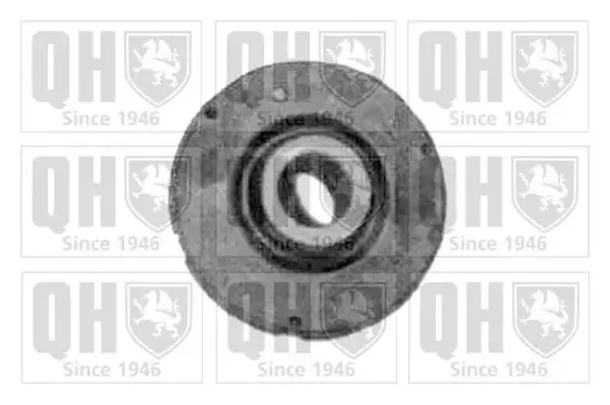 Lagerung, Lenker Vorderachse außen QUINTON HAZELL EMS2447 Bild Lagerung, Lenker Vorderachse außen QUINTON HAZELL EMS2447