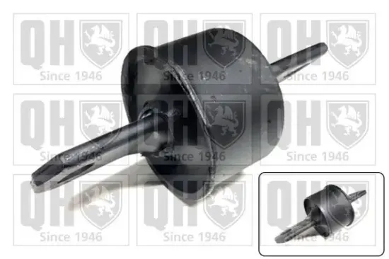 Lagerung, Lenker Hinterachse unten QUINTON HAZELL EMS8031 Bild Lagerung, Lenker Hinterachse unten QUINTON HAZELL EMS8031