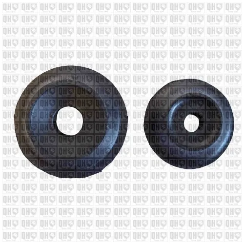 Reparatursatz, Federbeinstützlager Hinterachse QUINTON HAZELL EMR6038 Bild Reparatursatz, Federbeinstützlager Hinterachse QUINTON HAZELL EMR6038