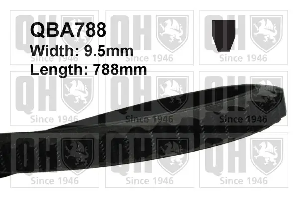 Keilriemen QUINTON HAZELL QBA788