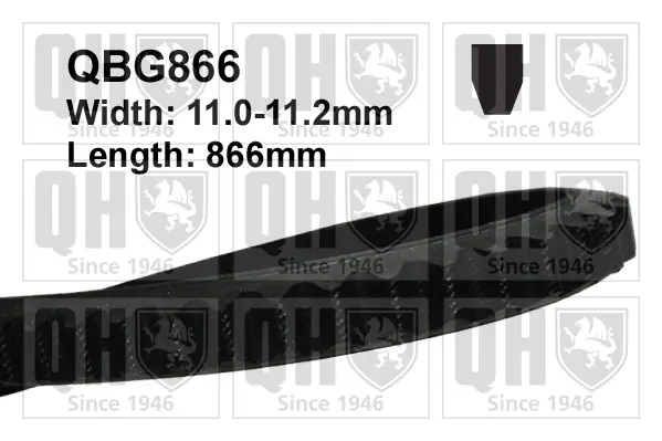 Keilriemen QUINTON HAZELL QBG866
