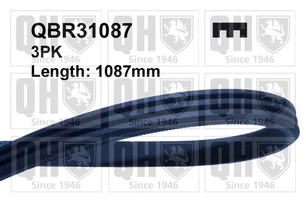 Keilrippenriemen QUINTON HAZELL QBR31087
