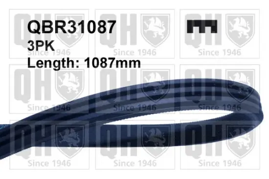 Keilrippenriemen QUINTON HAZELL QBR31087 Bild Keilrippenriemen QUINTON HAZELL QBR31087