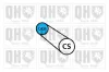 Keilrippenriemen QUINTON HAZELL QBR3576E Bild Keilrippenriemen QUINTON HAZELL QBR3576E