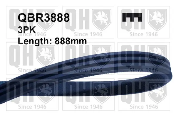 Keilrippenriemen QUINTON HAZELL QBR3888