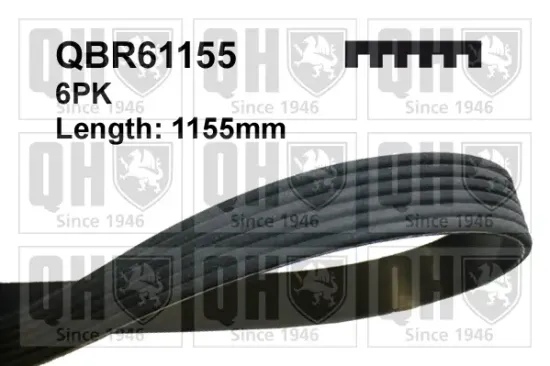 Keilrippenriemen QUINTON HAZELL QBR61155 Bild Keilrippenriemen QUINTON HAZELL QBR61155
