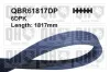 Keilrippenriemen QUINTON HAZELL QBR61817DP