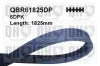 Keilrippenriemen QUINTON HAZELL QBR61825DP