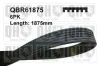 Keilrippenriemen QUINTON HAZELL QBR61875 Bild Keilrippenriemen QUINTON HAZELL QBR61875