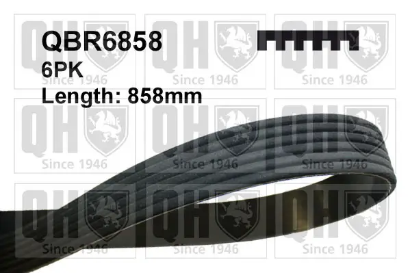 Keilrippenriemen QUINTON HAZELL QBR6858