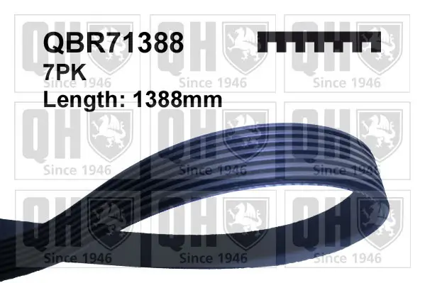 Keilrippenriemen QUINTON HAZELL QBR71388