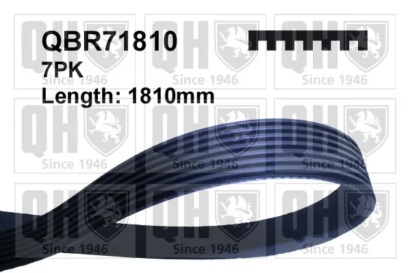 Keilrippenriemen QUINTON HAZELL QBR71810
