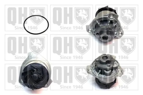 Wasserpumpe, Motorkühlung QUINTON HAZELL QCP3576 Bild Wasserpumpe, Motorkühlung QUINTON HAZELL QCP3576