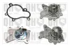 Wasserpumpe, Motork&uuml;hlung QUINTON HAZELL QCP3671