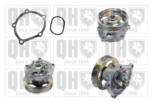 Wasserpumpe, Motorkühlung QUINTON HAZELL QCP3773